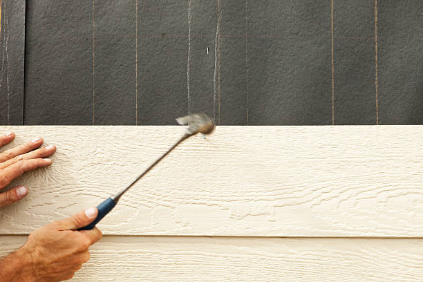 Best Custom Siding Design  in Fort Campbell North, KY